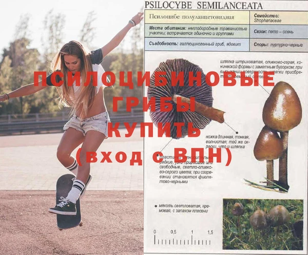 меф Козельск